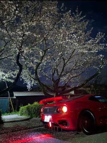 夜桜の下に停めた赤いスポーツカー